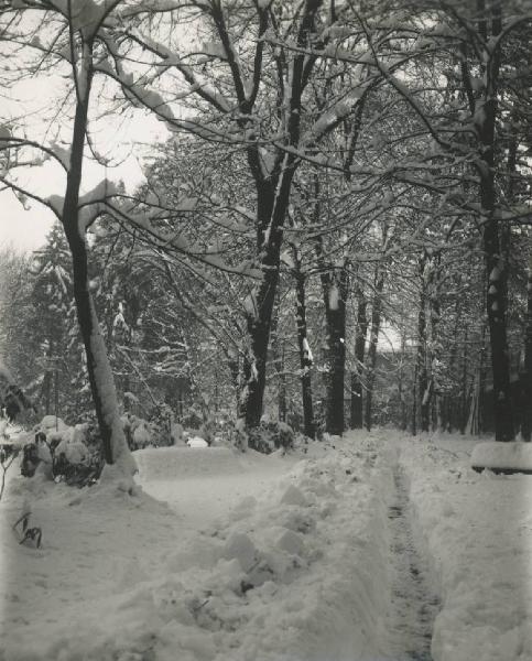 Paesaggio. Milano - Giardini della Guastalla sotto la neve