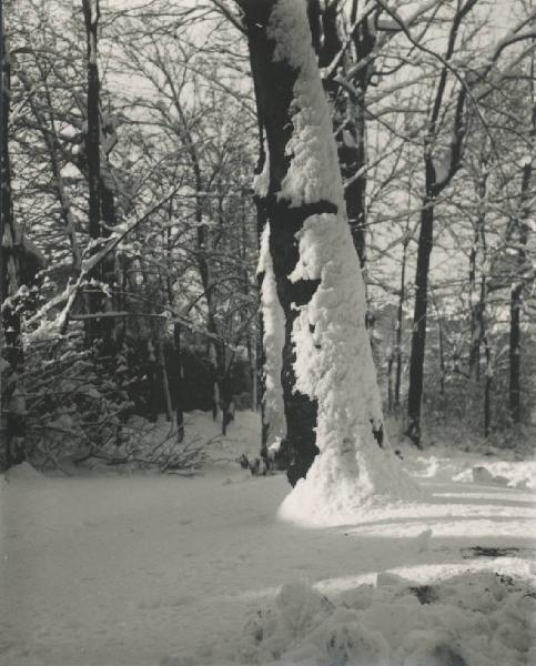 Paesaggio. Milano - Giardini della Guastalla sotto la neve