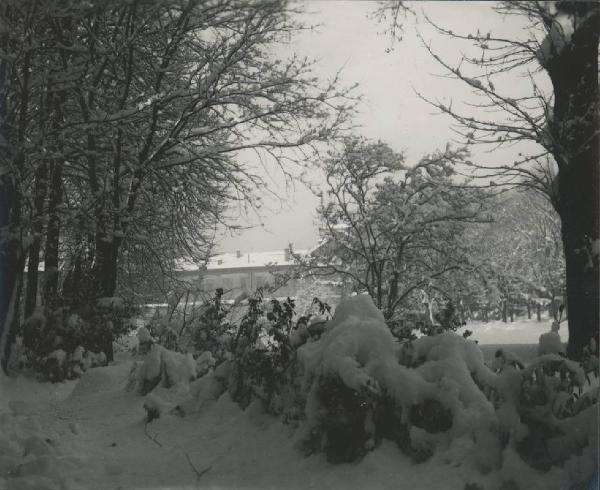 Paesaggio. Milano - Giardini della Guastalla sotto la neve