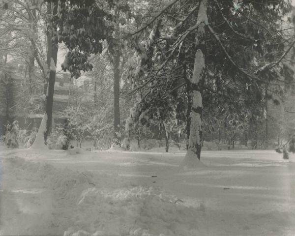 Paesaggio. Milano - Giardini della Guastalla sotto la neve