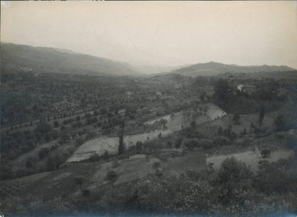 Paesaggio. Castrocaro - Panorama