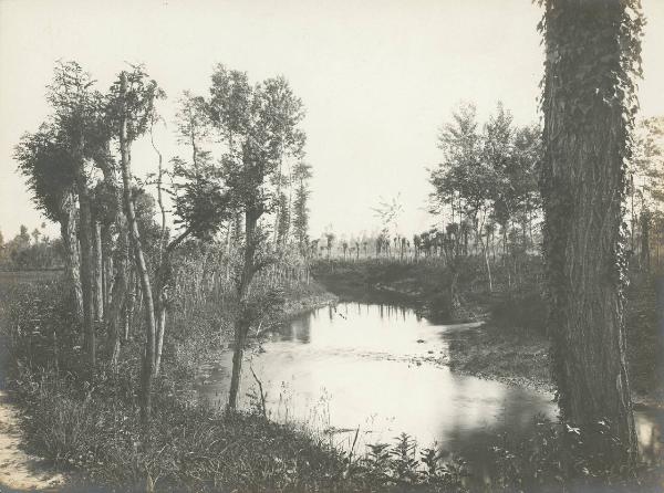 Paesaggio. Fiume Lambro