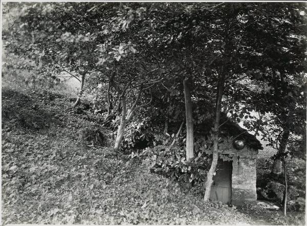 Paesaggio. Mandello del Lario - Somana - Bosco e capanna