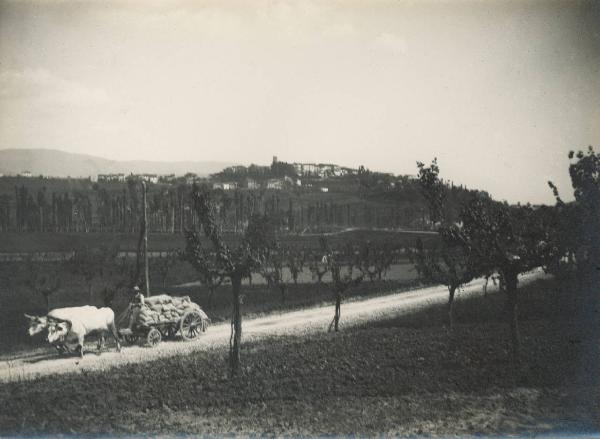 Paesaggio. Bibbiena - Panorama