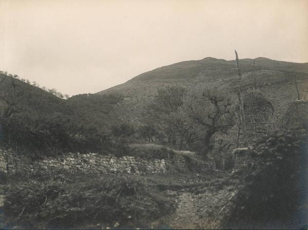 Paesaggio. Assisi - Territorio nei pressi del monastero di S. Angelo di Panzo