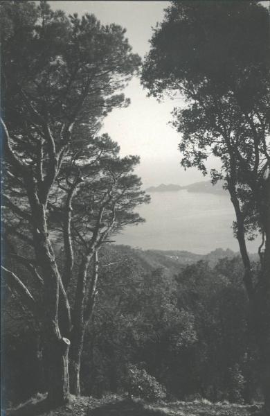 Paesaggio. Rapallo - Panorama da Monte Allegro