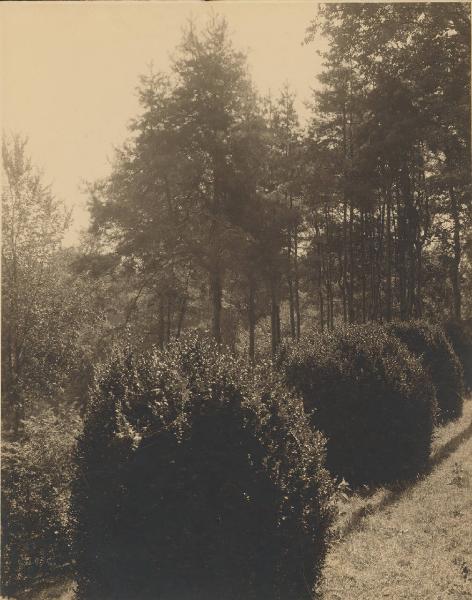 Paesaggio. Castelletto sopra Ticino - Veduta del parco