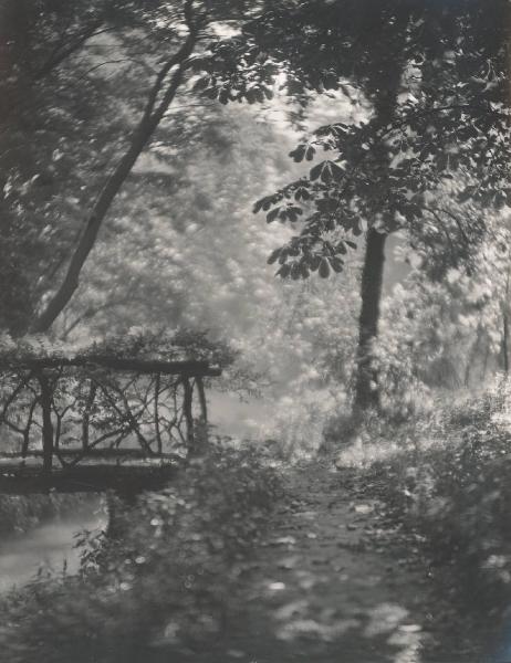 Paesaggio. Milano - Giardino di casa Perego in via Borgonuovo