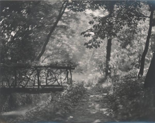 Paesaggio. Milano - Giardino di casa Perego in via Borgonuovo