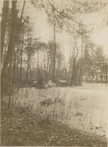 Paesaggio. Ceriano Laghetto - Pineta e laghetto ghiacciato