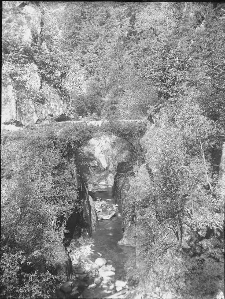 Paesaggio. Valle Vigezzo - Santa Maria Maggiore - Crana - Orrido - ponte