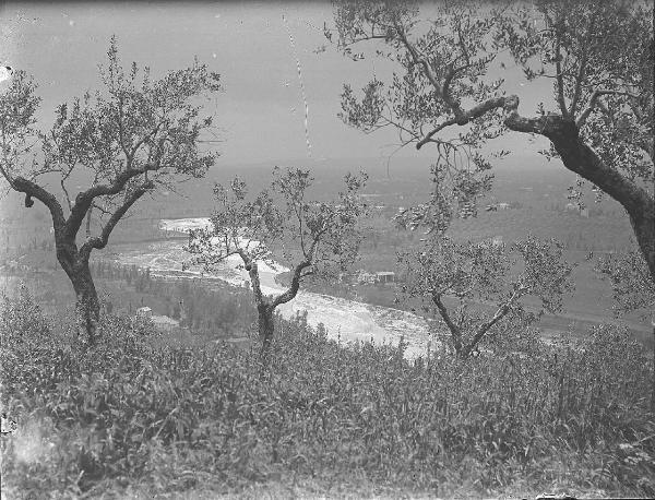 Paesaggio. Assisi - Tescio