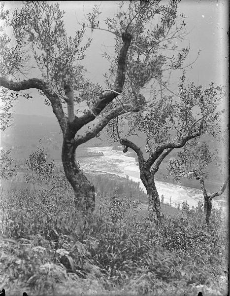 Paesaggio. Assisi - Tescio