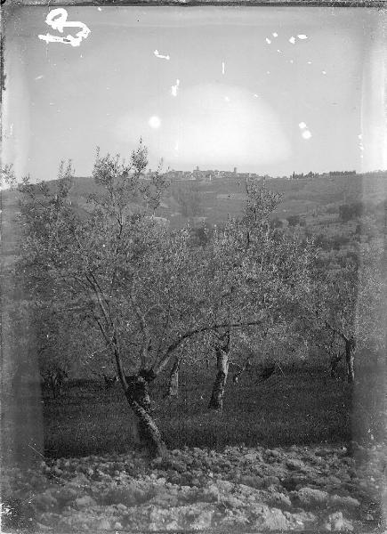 Paesaggio. Montefalco - Veduta