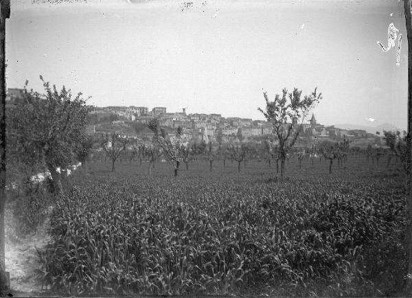 Paesaggio. Montefalco - Panorama