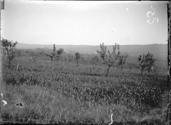 Paesaggio. Bevagna - Panorama