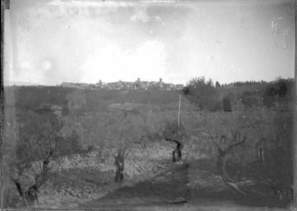 Paesaggio. Montefalco - Panorama