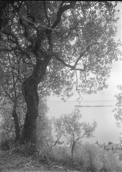 Paesaggio. Toscolano-Maderno - Monte Maderno - Veduta