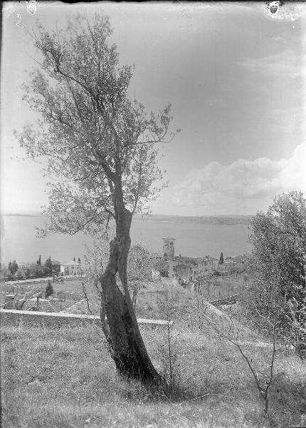 Paesaggio. Toscolano-Maderno - Monte Maderno - Veduta del Lago di Garda