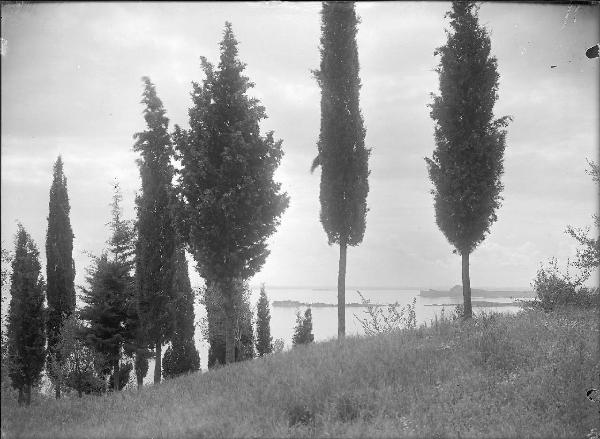 Paesaggio. Toscolano-Maderno - Monte Maderno - Veduta del Lago di Garda