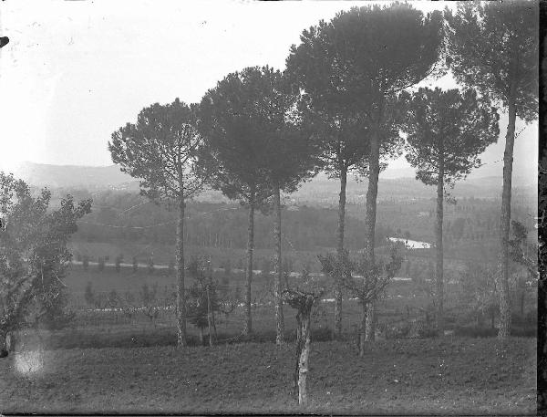 Paesaggio. Collestrada - Panorama