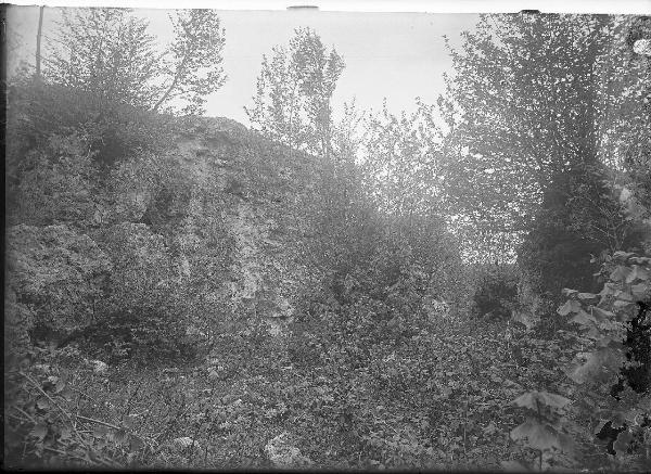 Paesaggio. Sarteano - Bosco