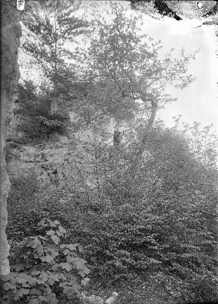 Paesaggio. Sarteano - Bosco