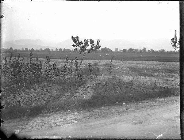 Paesaggio. Cannara - Pian d'Arca - Veduta