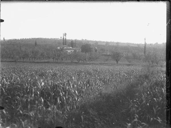 Paesaggio. Cannara - Pian d'Arca - Veduta