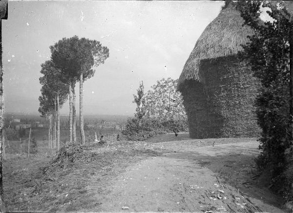 Paesaggio. Cannara - Pian d'Arca (?)