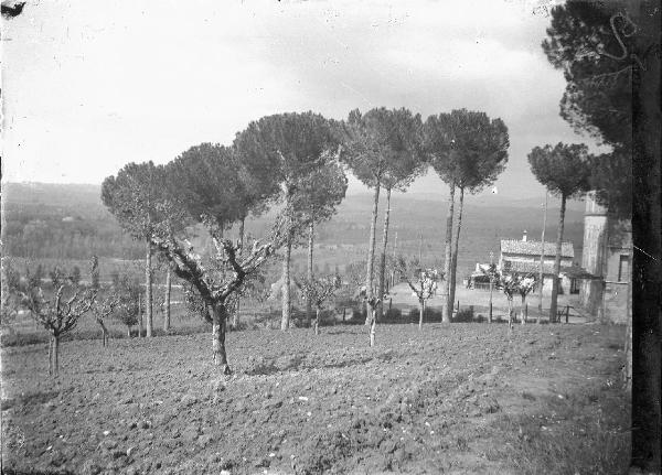 Paesaggio. Cannara - Pian d'Arca (?)