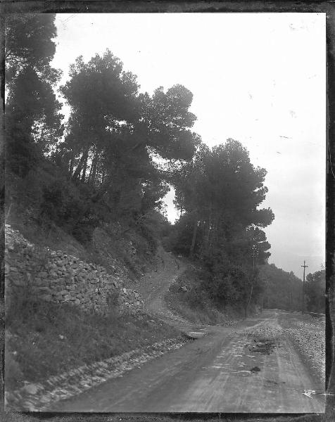 Paesaggio. Località non identificata (Liguria) - Veduta