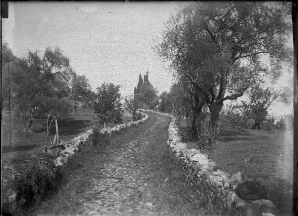 Paesaggio. Mandello del Lario - Somana - Alberi lungo un sentiero