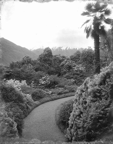 Paesaggio. Tremezzo - Villa Carlotta - Giardino botanico