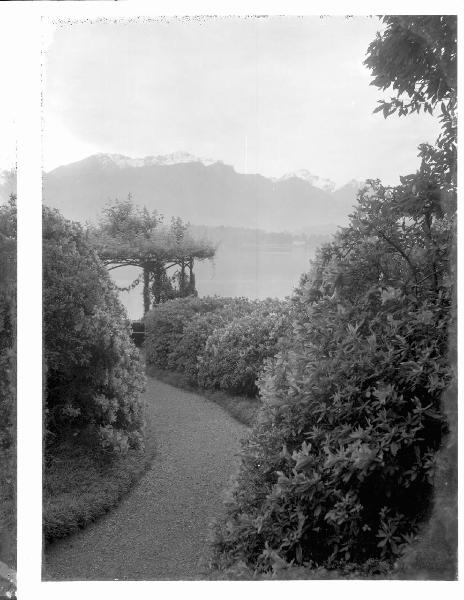 Paesaggio. Tremezzo - Villa Carlotta - giardino botanico - lago di Como