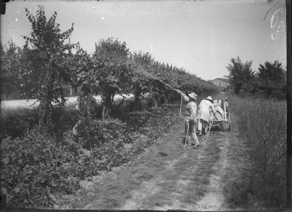 Paesaggio. Ravenna - Contadini al lavoro in un frutteto. Disinfestazione