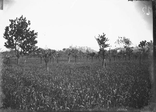 Paesaggio. Poppi - Piano di Campaldino