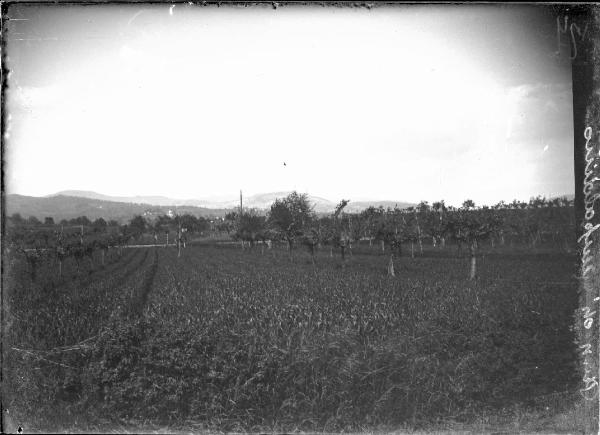 Paesaggio. Poppi - Piano di Campaldino - Veduta