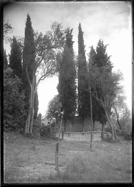 Paesaggio. Gardone Riviera (?) - San Michele (?) - Cipressi