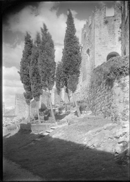 Paesaggio. Malcesine - Cipressi presso il castello