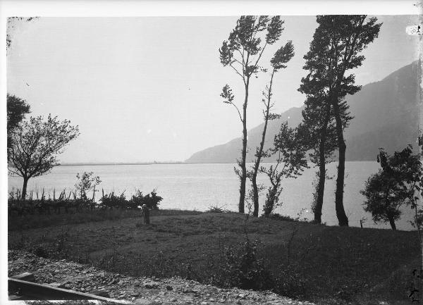 Paesaggio. Lago di Como - Griante - Cadenabbia - parco naturale di San Martino - veduta della Grigna