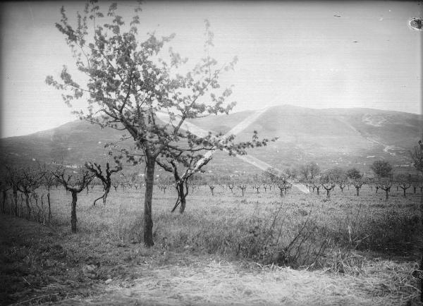 Paesaggio. Assisi - Panorama da S. Rufinello