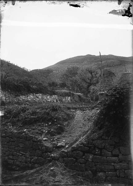 Paesaggio. Assisi - Territorio nei pressi del monastero di S. Angelo di Panzo