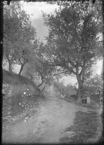 Paesaggio. Assisi - Sulla via di Panzo