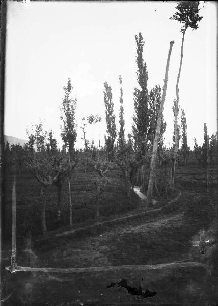 Paesaggio. Assisi - Il Rivotorto