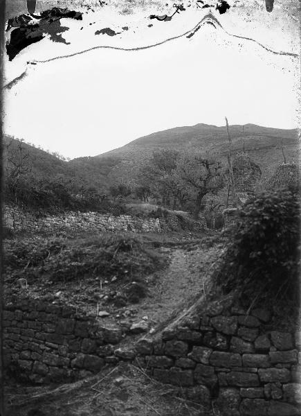 Paesaggio. Assisi - Territorio nei pressi del monastero di S. Angelo di Panzo