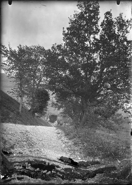 Paesaggio. Assisi - Sentiero sulla via di Panzo