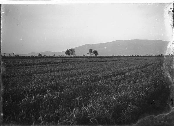 Paesaggio. Cannara - Pian d'Arca - Veduta