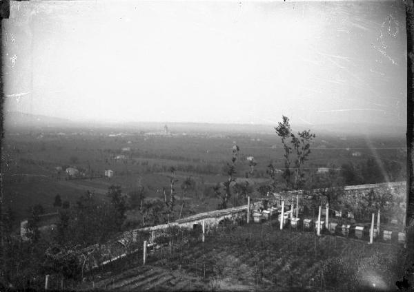 Paesaggio. Assisi - Panorama dall'orto del convento di S. Damiano