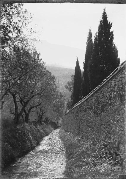 Paesaggio. Assisi - Convento di S. Damiano - Mura